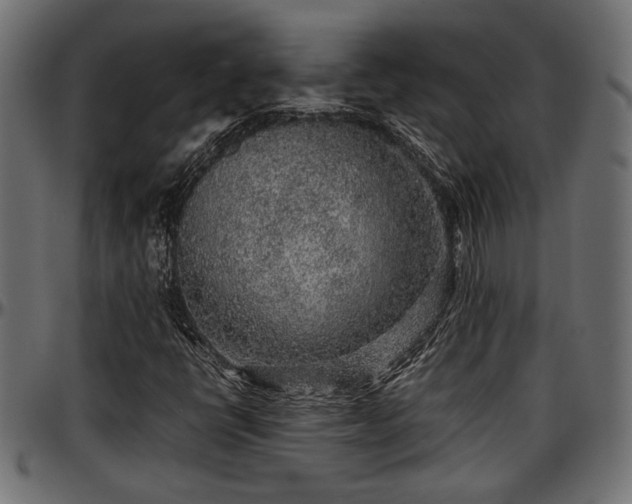X0000096731398200802121303