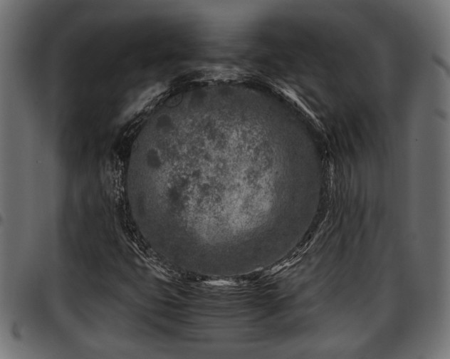 X0000096731399200802121303