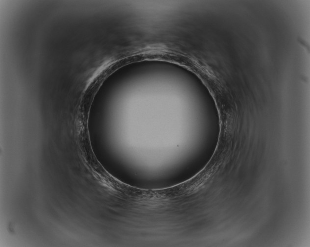 X0000096731400200802121303