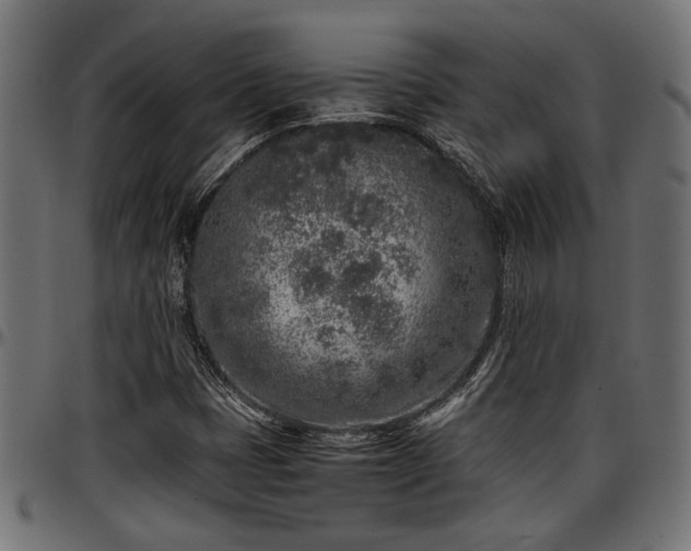 X0000096731401200802121303