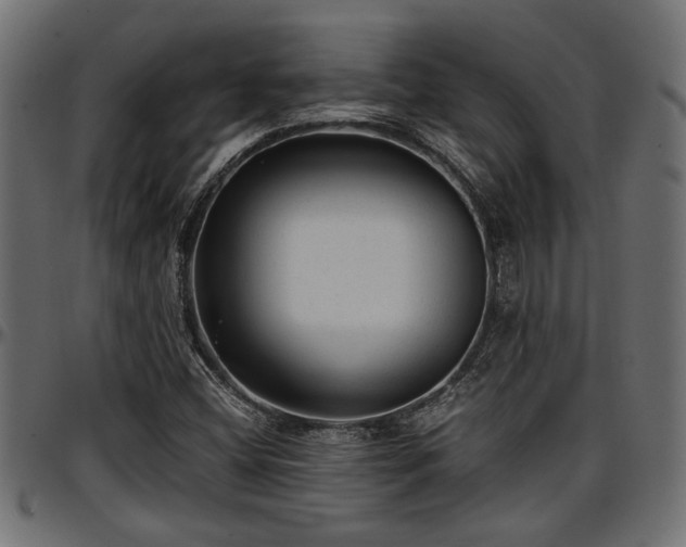X0000096731404200802121303