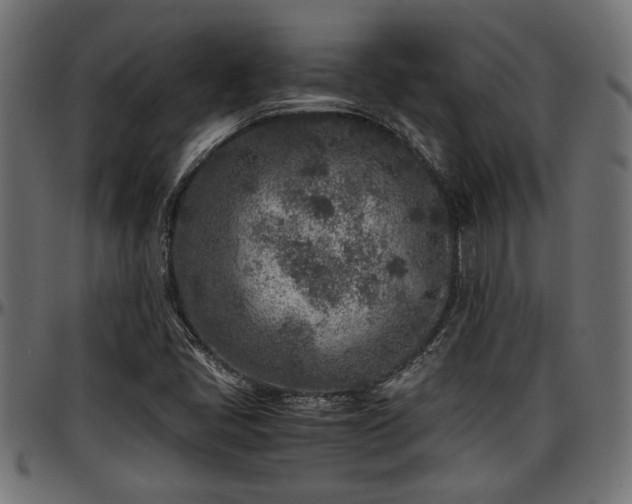 X0000096731405200802121303