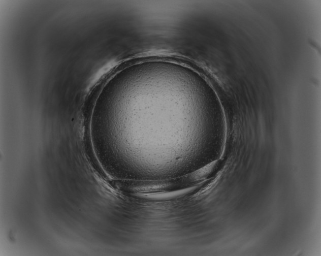 X0000096731406200802121303