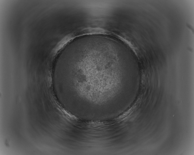 X0000096731407200802121303
