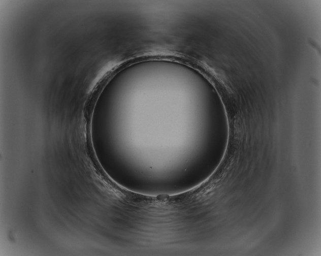 X0000096731408200802121303