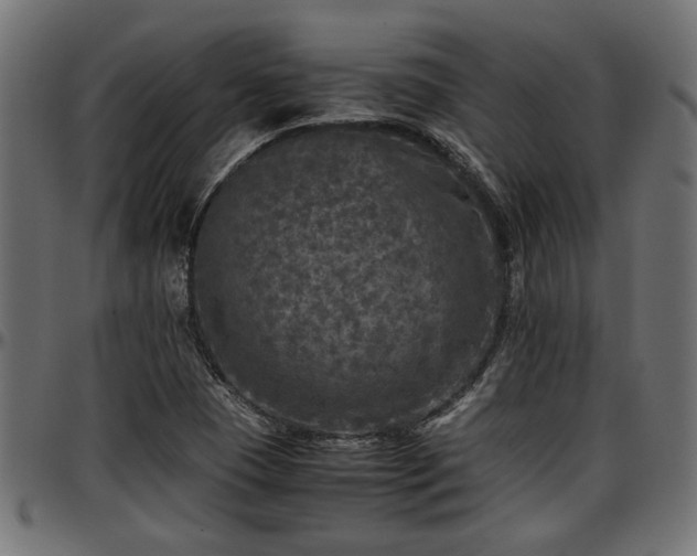 X0000096731409200802121303