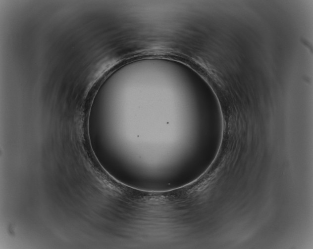 X0000096731410200802121303