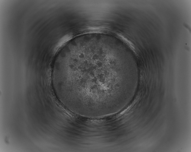 X0000096731411200802121303