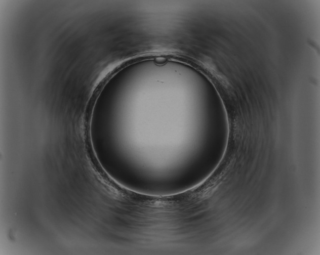 X0000096731412200802121303