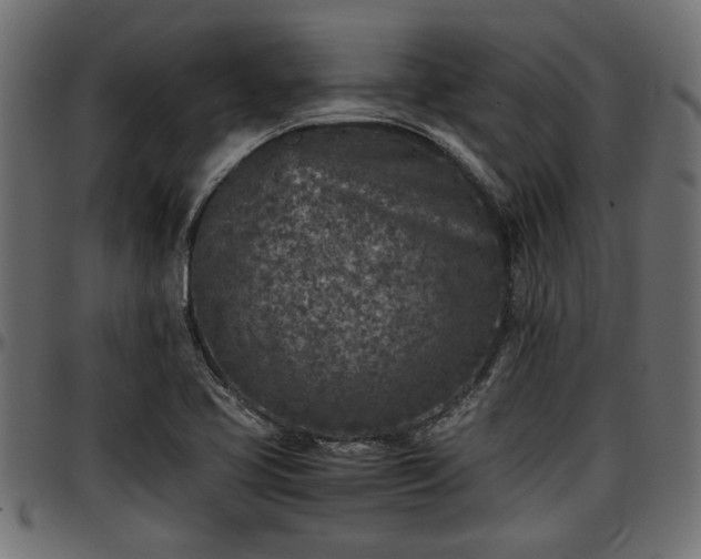 X0000096731413200802121303