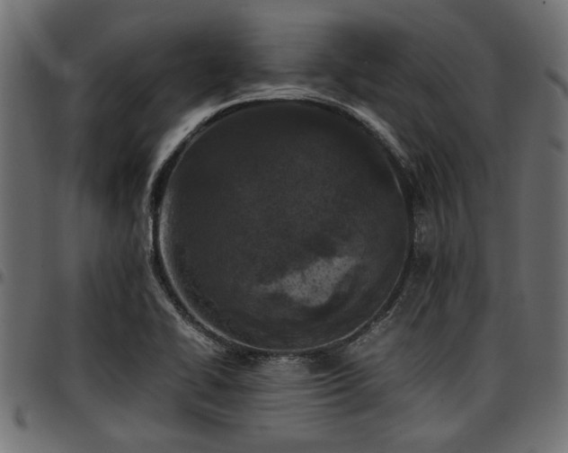 X0000096731414200802121303