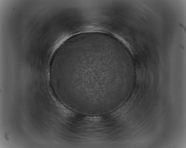X0000096731415200802121303