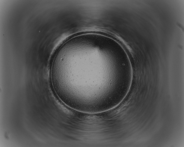 X0000096731416200802121303
