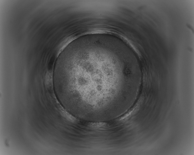 X0000096731417200802121303