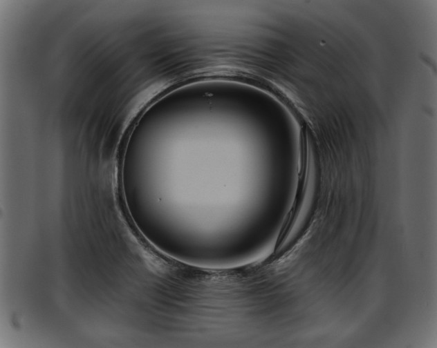 X0000096731418200802121303