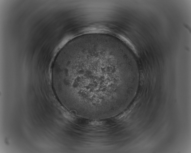 X0000096731419200802121303