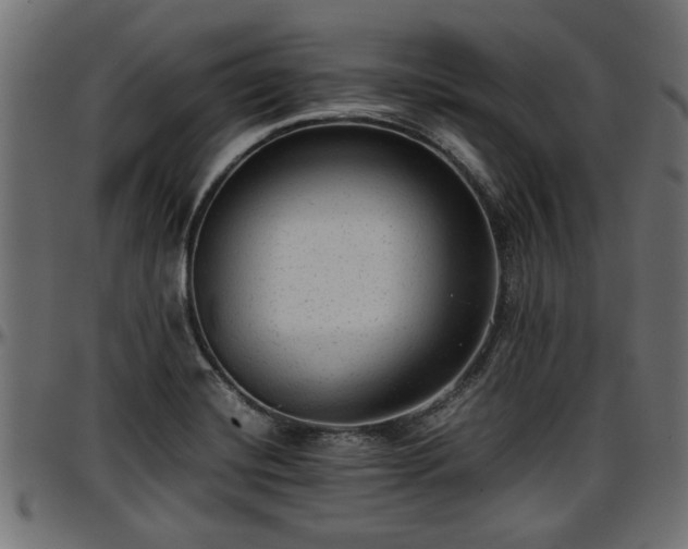 X0000096731420200802121304