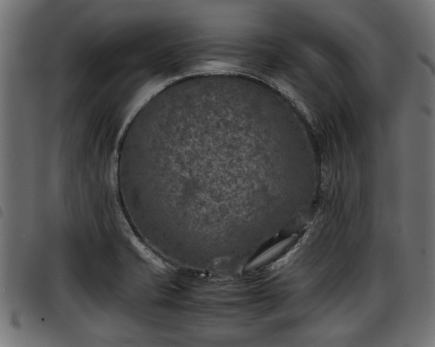 X0000096731421200802121304