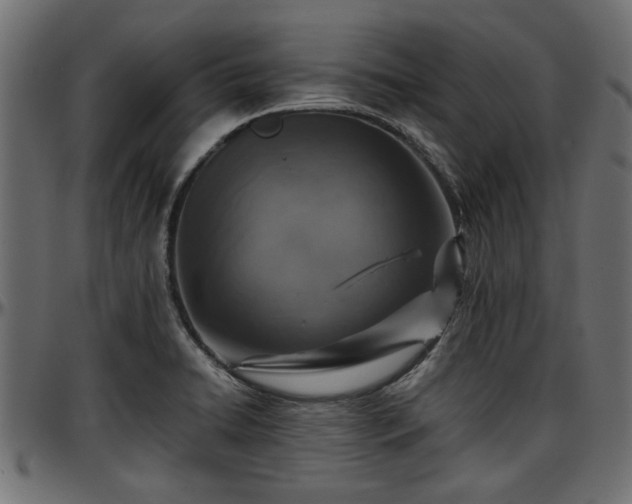 X0000096731422200802121304