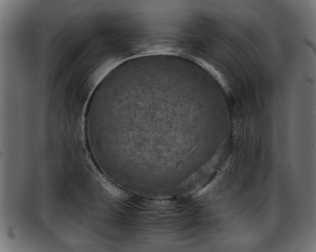 X0000096731423200802121304
