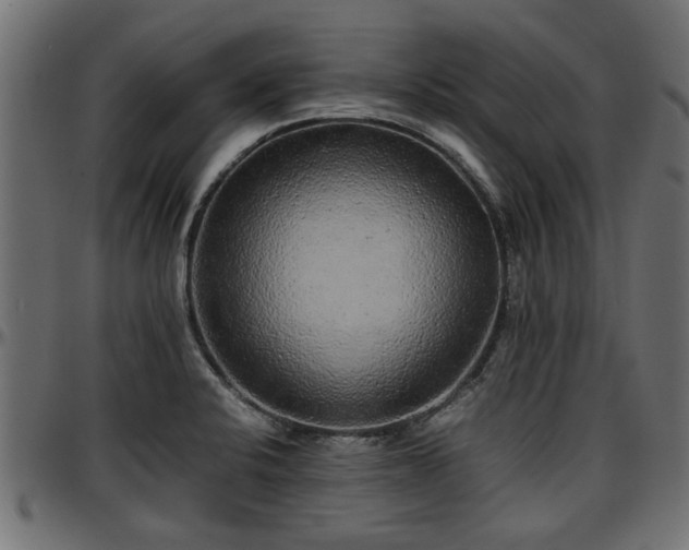 X0000096731424200802121304