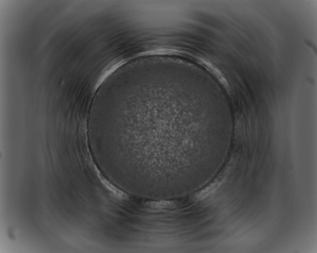 X0000096731425200802121304