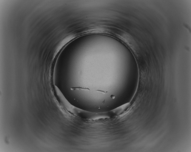 X0000096731426200802121304