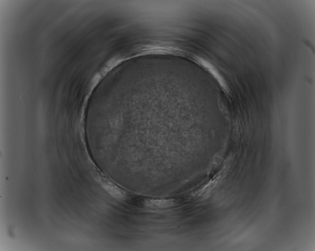 X0000096731427200802121304