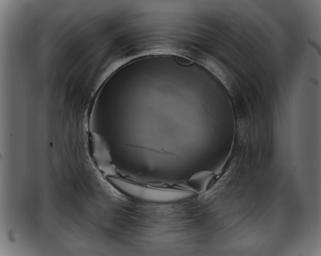 X0000096731428200802121304