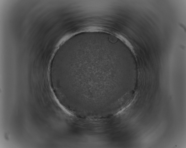 X0000096731429200802121304