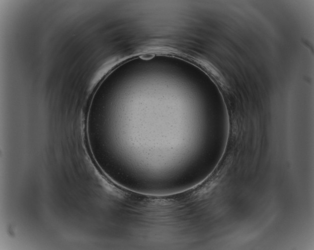 X0000096731430200802121304