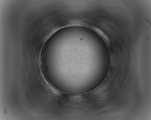 X0000096731431200802121304