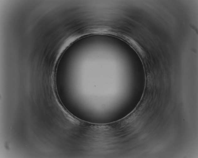 X0000096731432200802121304