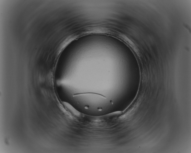 X0000096731433200802121304