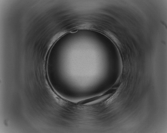 X0000096731434200802121304