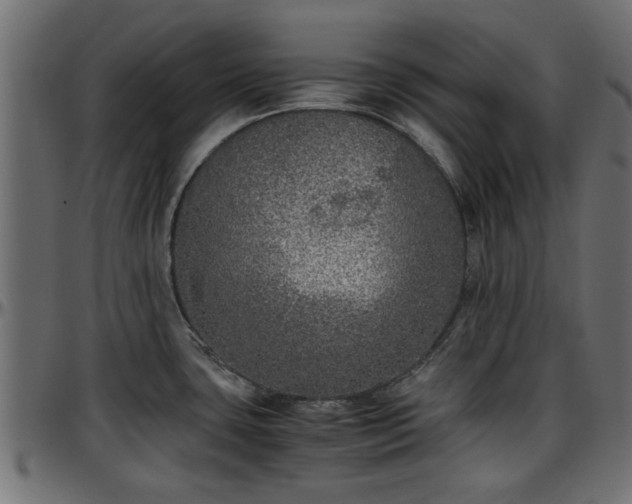 X0000096731435200802121304
