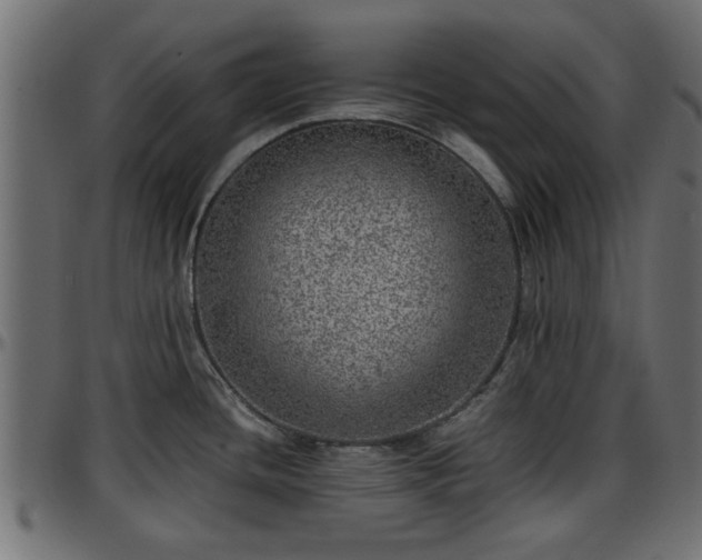 X0000096731436200802121304