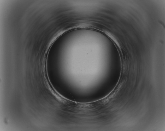 X0000096731437200802121304