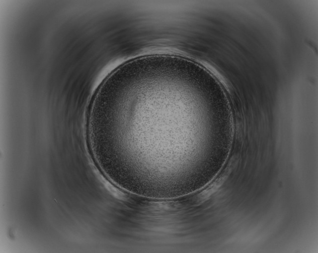 X0000096731438200802121304