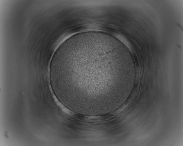 X0000096731439200802121304
