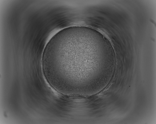 X0000096731440200802121304