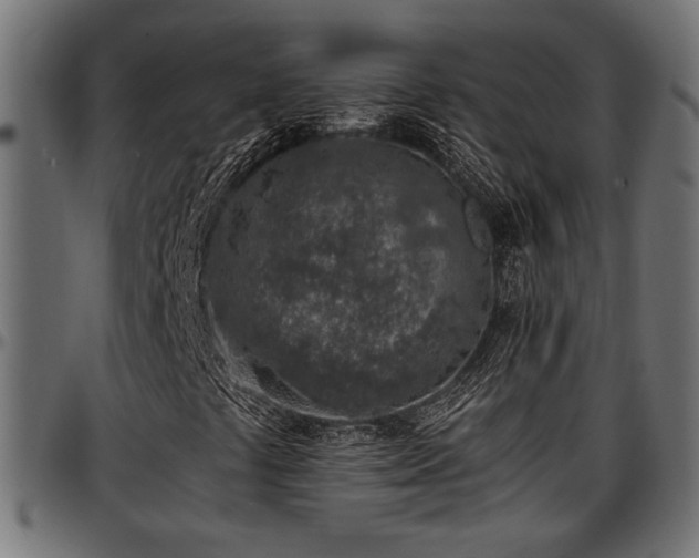X0000096731441200802121303