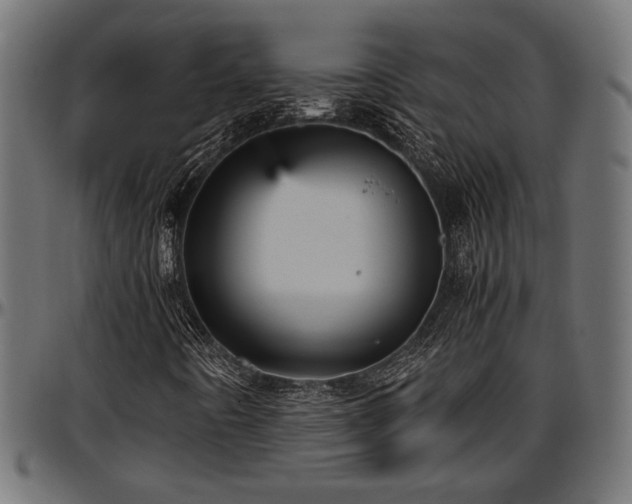 X0000096731442200802121303