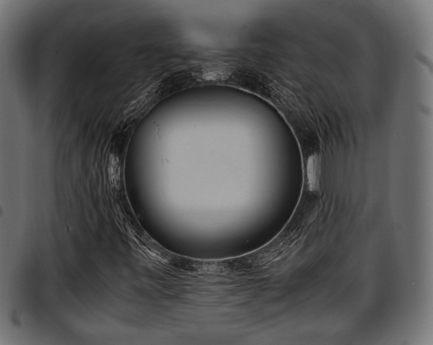 X0000096731443200802121303