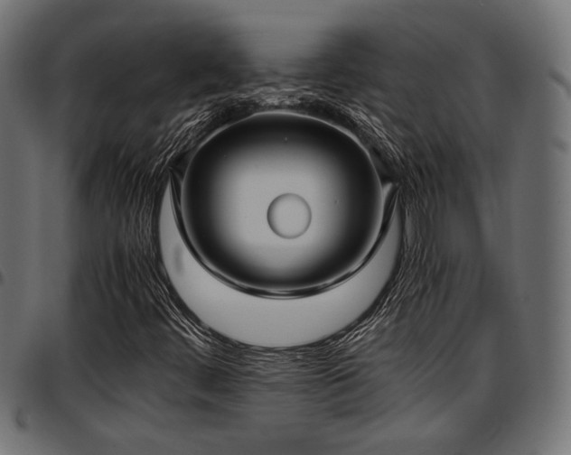 X0000096731444200802121303