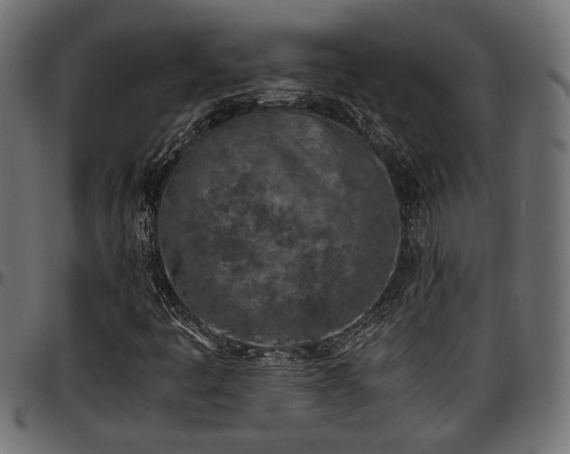 X0000096731445200802121303