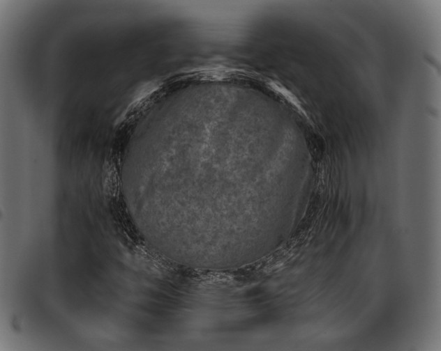 X0000096731446200802121303