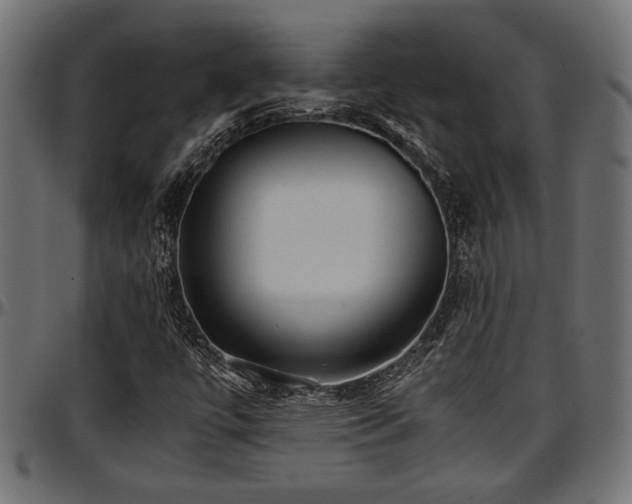 X0000096731447200802121303