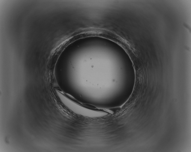 X0000096731448200802121303