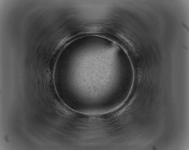 X0000096731449200802121303